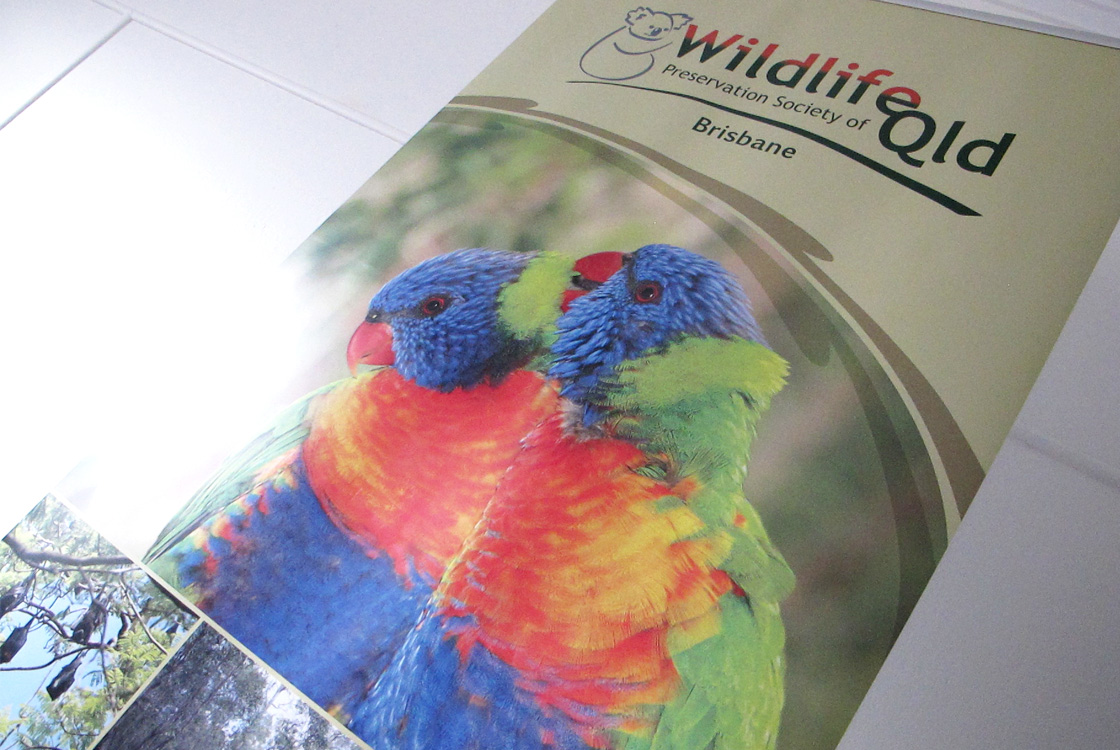 Wildlife QLD corporate banner